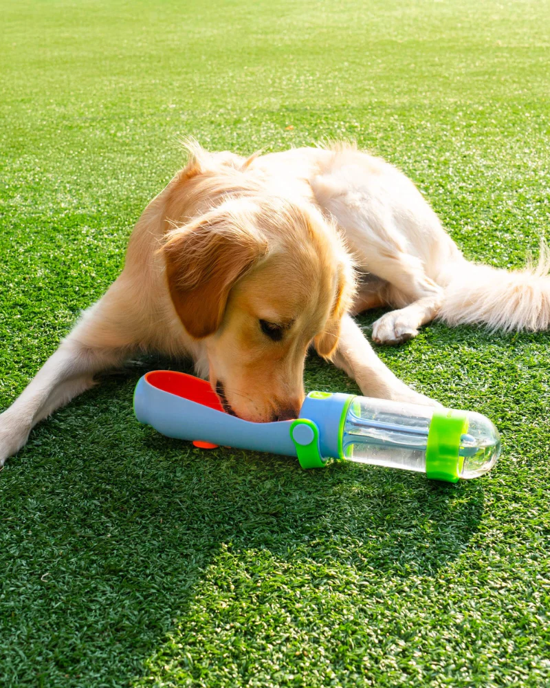 Lil' Gulp Dog Water Bottle - Image 3