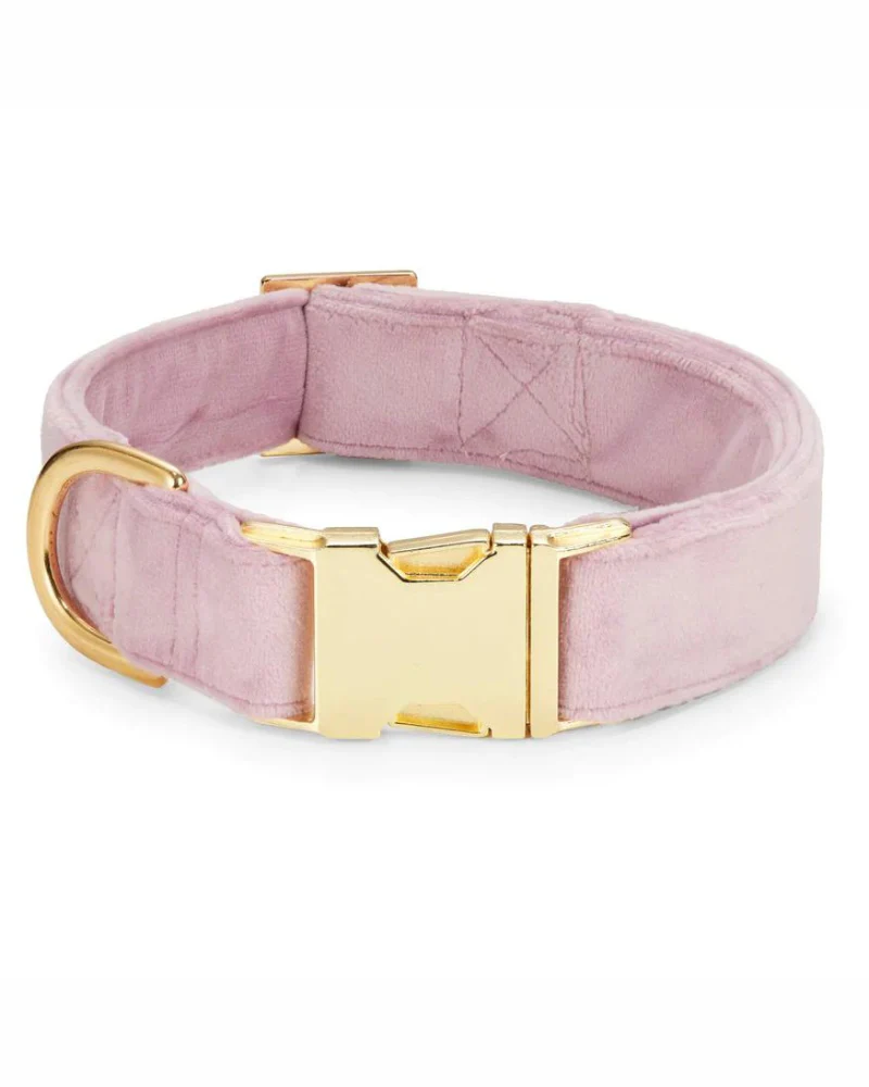 Lilac Velvet Dog Collar (Made in the USA) (FINAL SALE) - Image 2