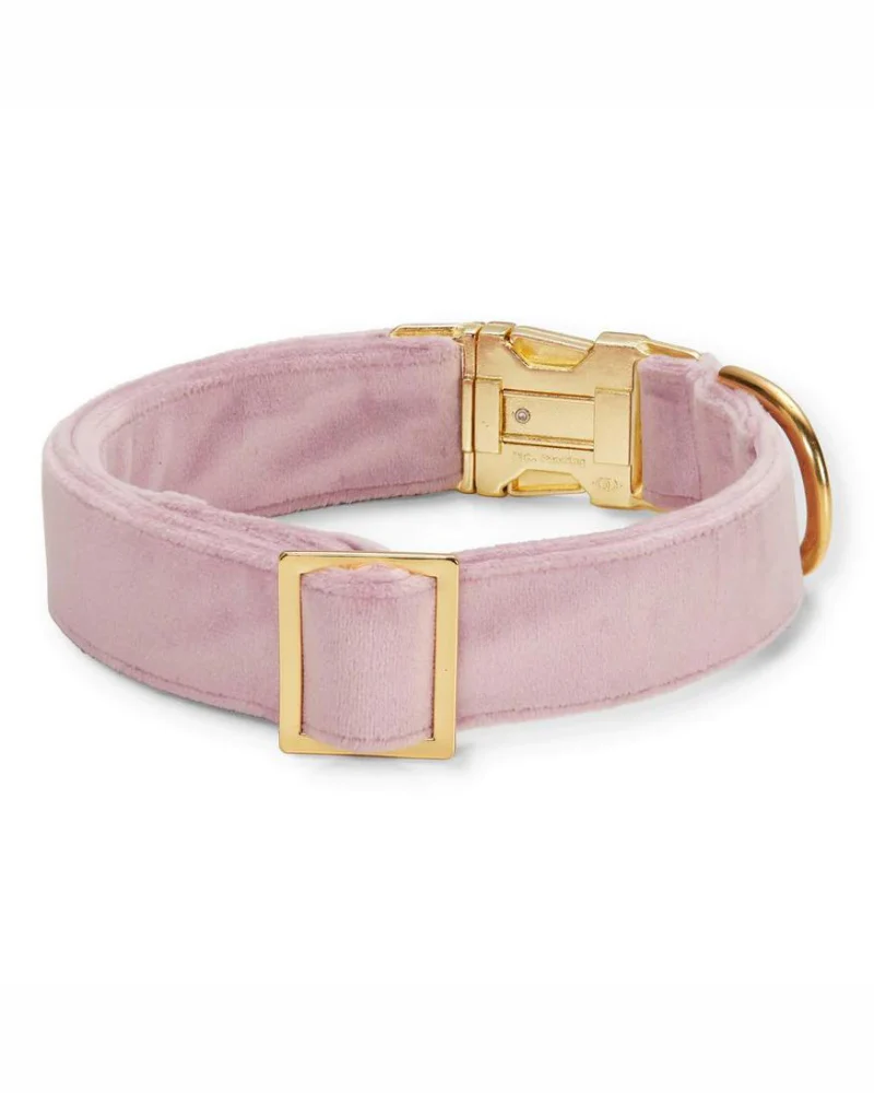 Lilac Velvet Dog Collar (Made in the USA) (FINAL SALE) - Image 4