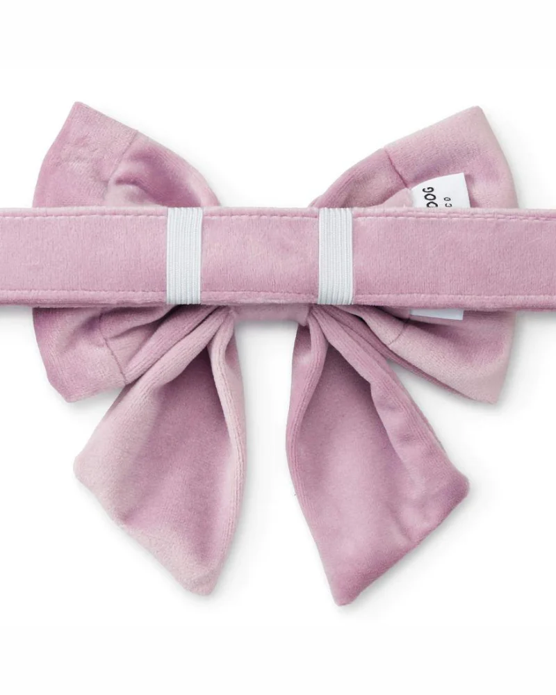 Lilac Velvet Lady Dog Bow - Image 2