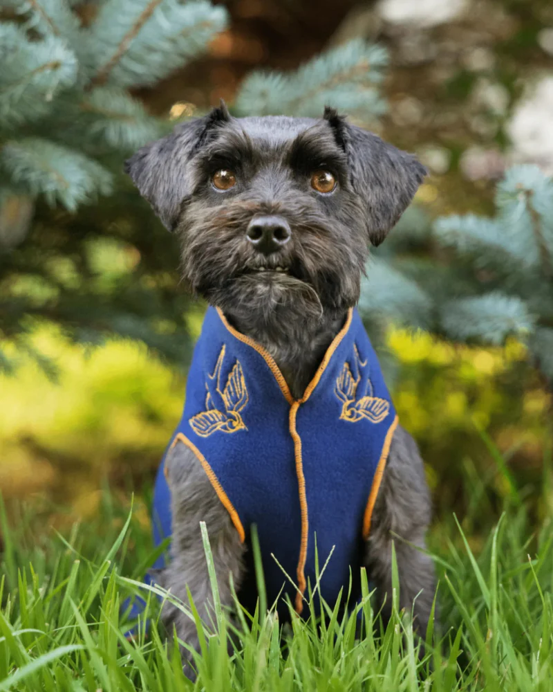 Limited Edition Embroidered Stretch Dog Fleece (Made in the USA) - Image 6