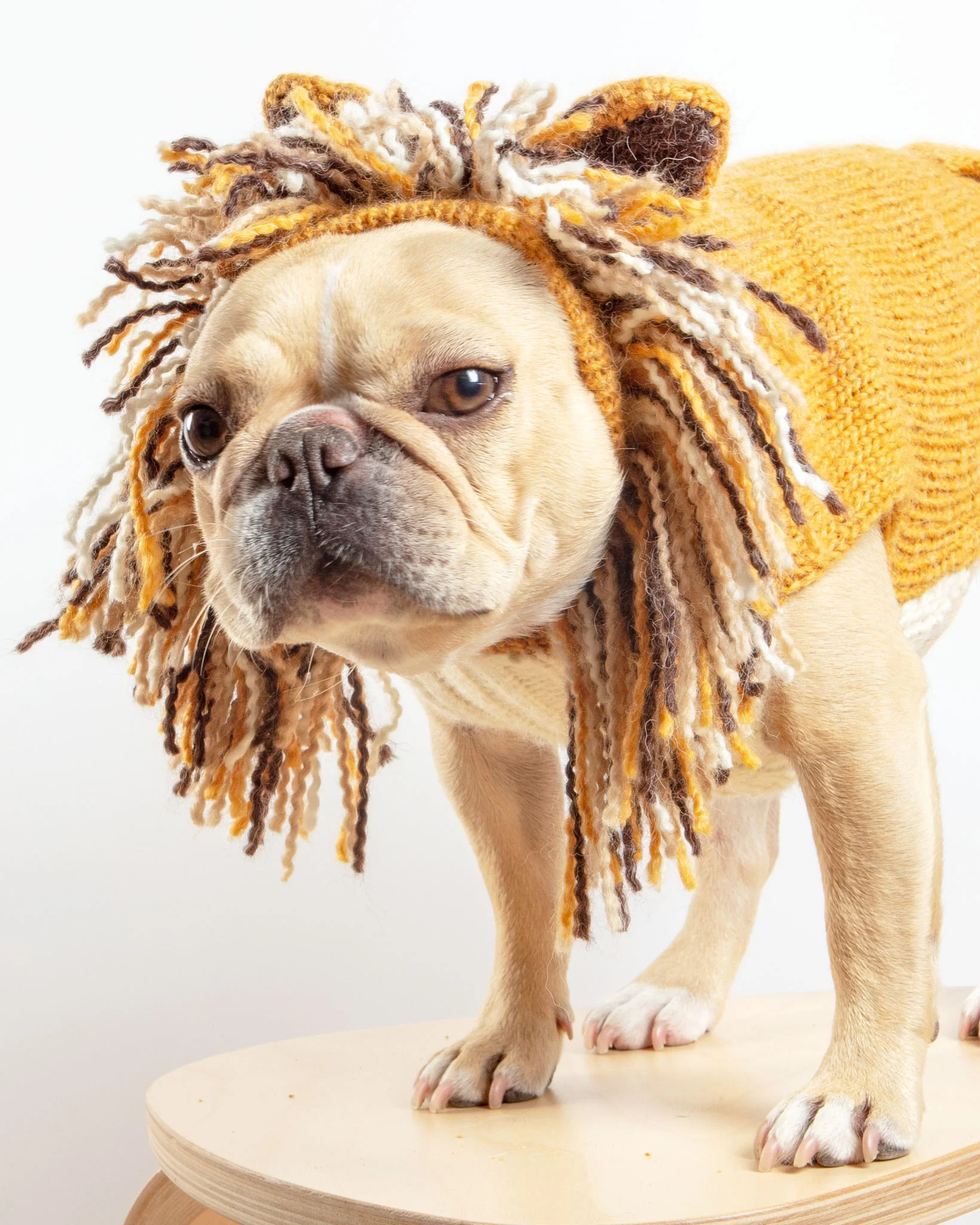Lion Hand-Knit Dog Sweater (DOG & CO. Exclusive) (FINAL SALE) - Image 2