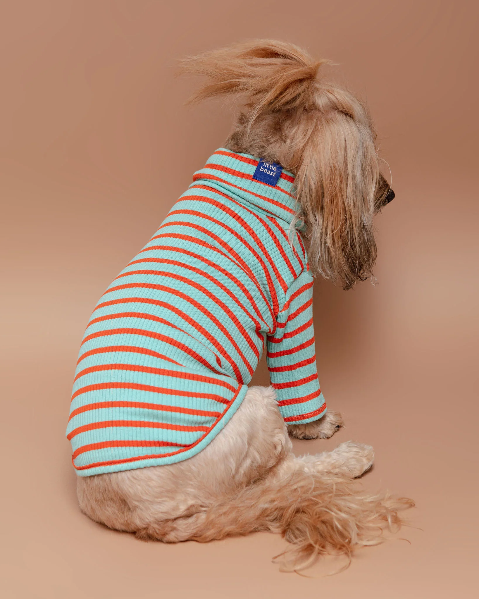 Life's a Beach Ribbed Pullover
