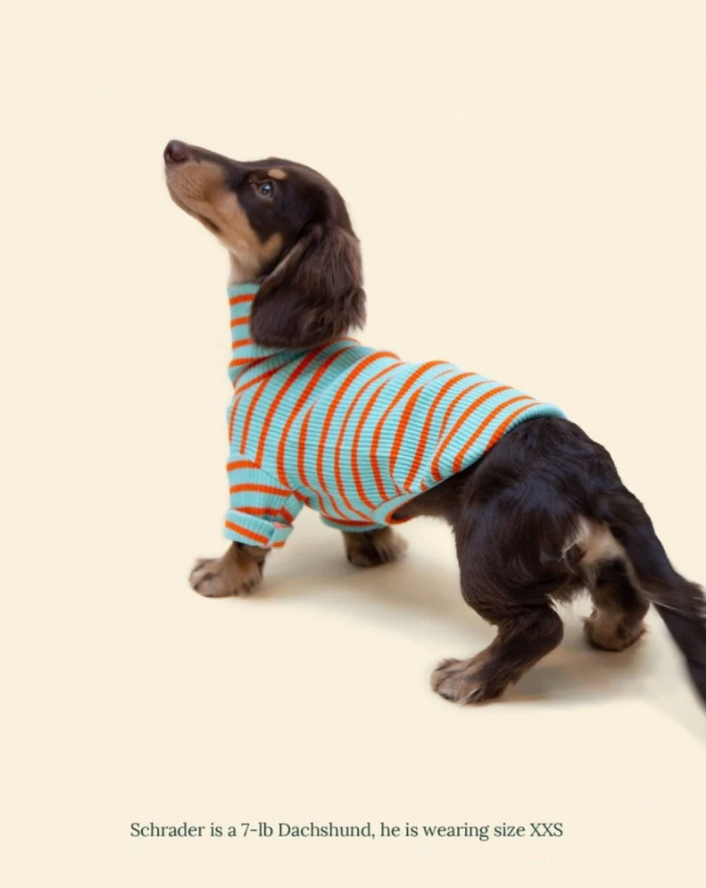 Life's a Beach Ribbed Pullover - Image 3