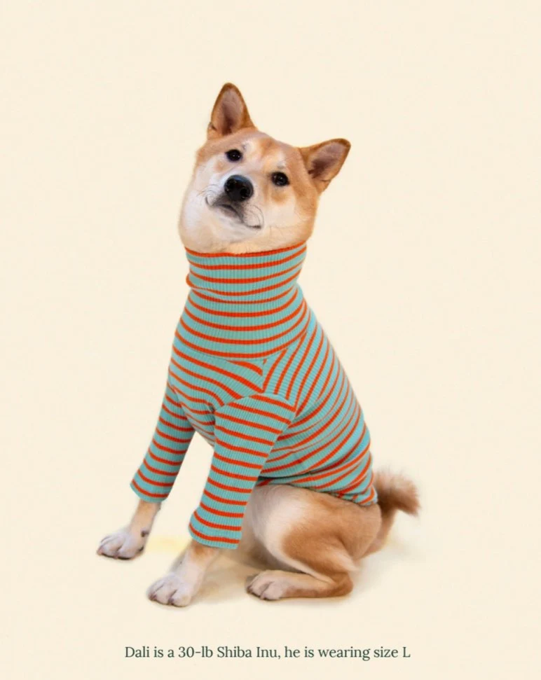 Life's a Beach Ribbed Pullover - Image 4