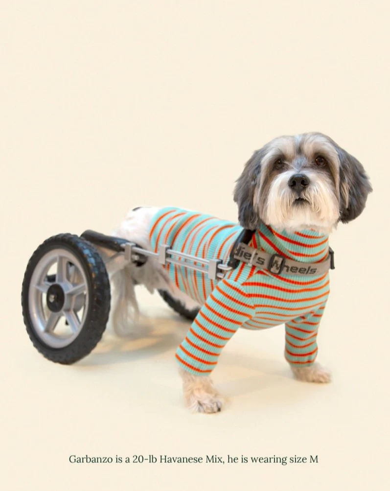 Life's a Beach Ribbed Pullover - Image 5
