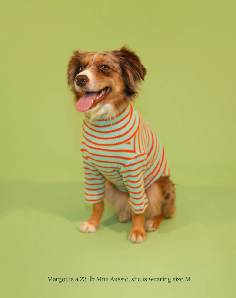 Life's a Beach Ribbed Pullover - Image 6