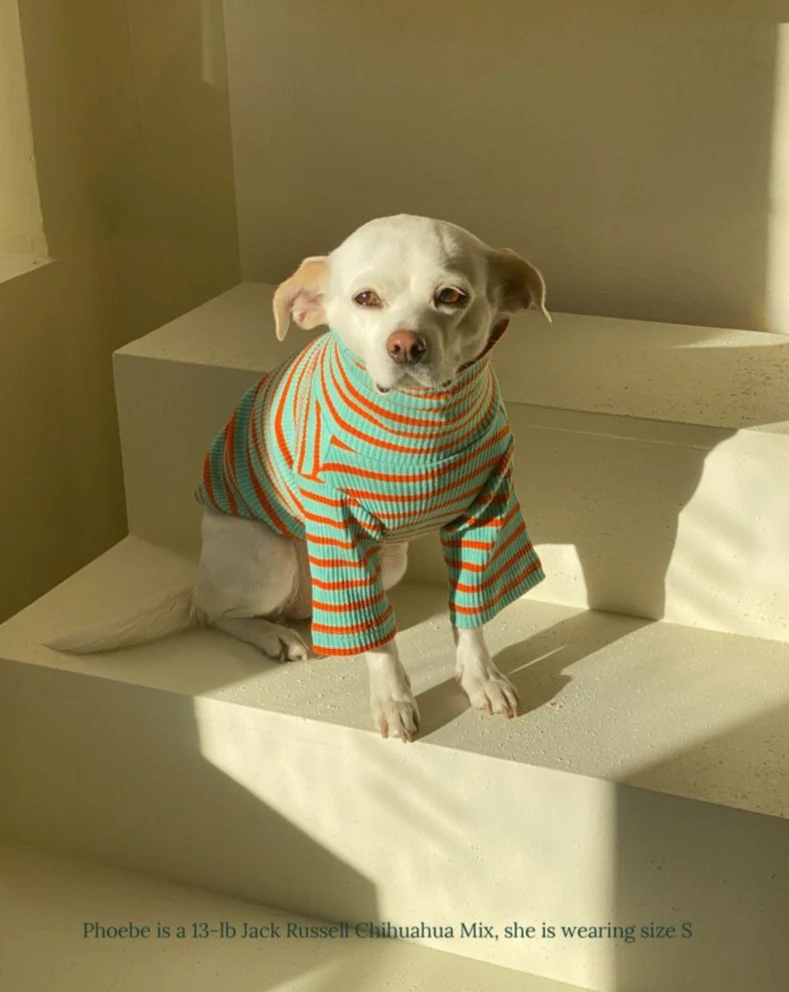 Life's a Beach Ribbed Pullover - Image 7