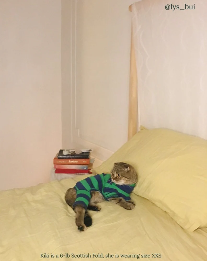 Martian Green + Navy Stripe Ribbed Onesie (FINAL SALE) - Image 6