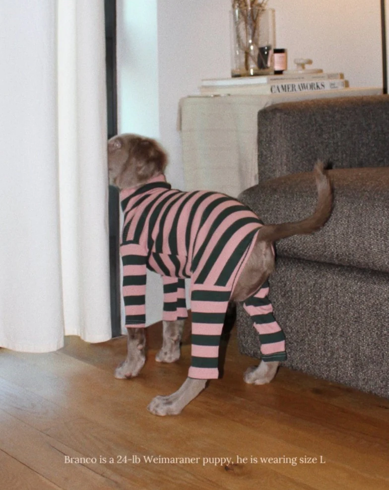 Pink Elephant Stripe Ribbed Onesie (FINAL SALE) - Image 4
