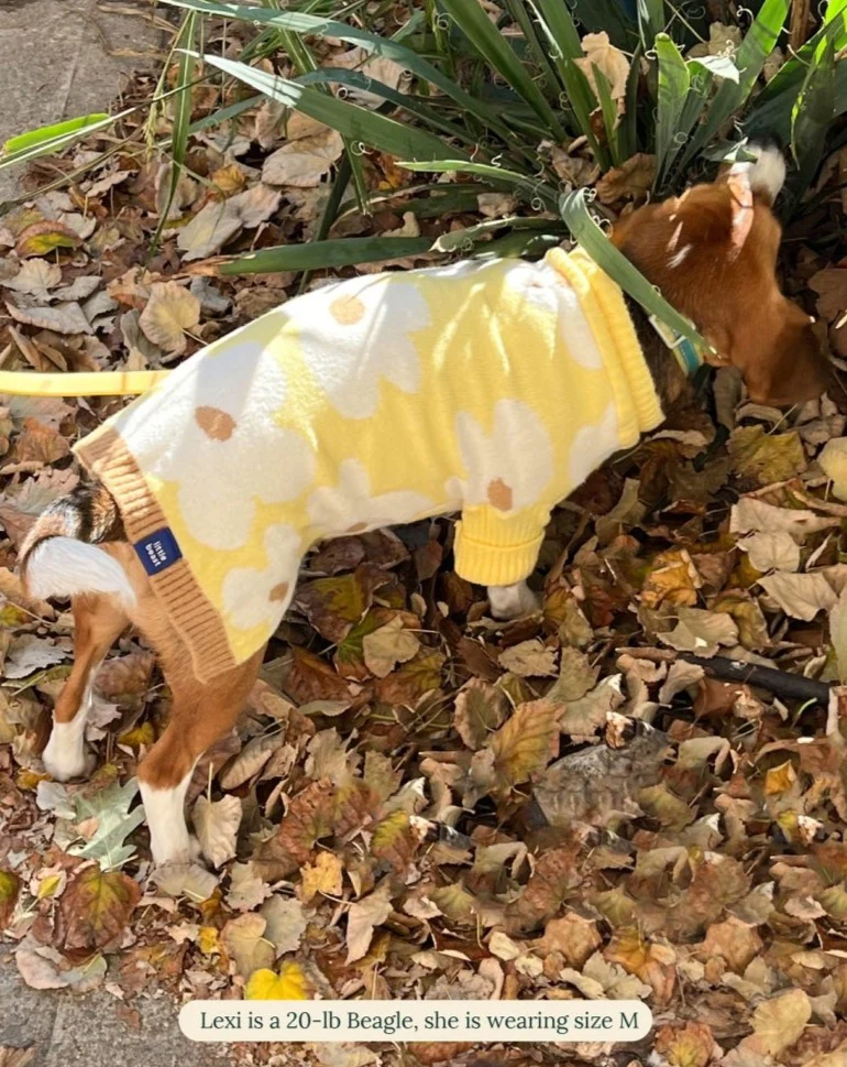 Sunny Side Dog Sweater (FINAL SALE) - Image 3