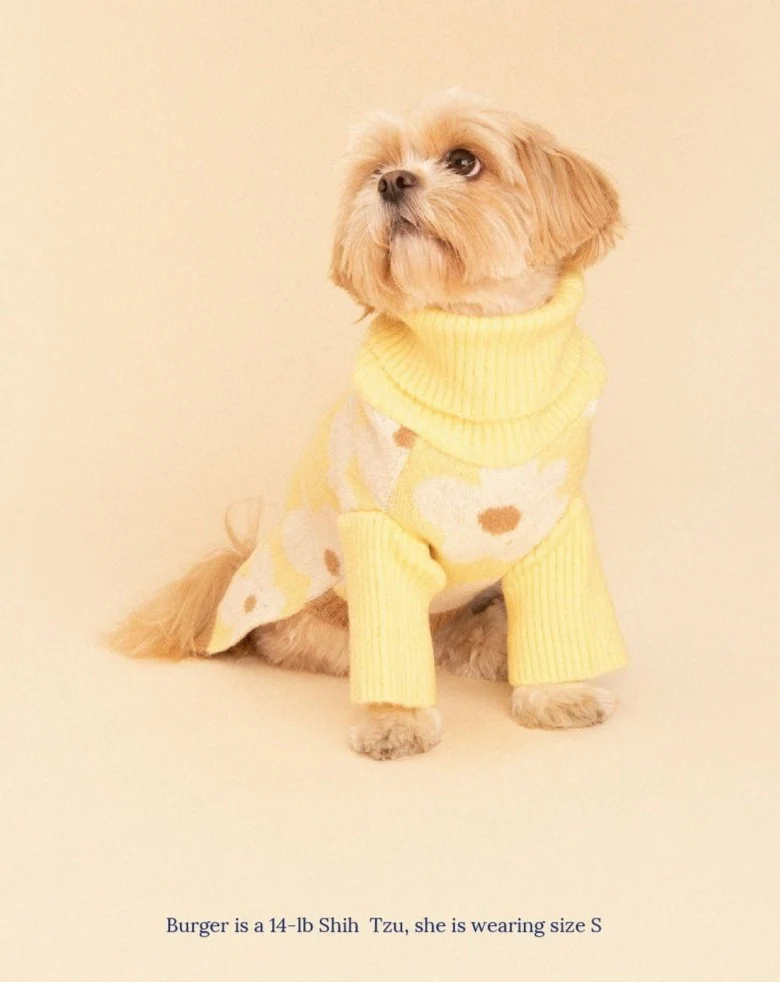 Sunny Side Dog Sweater (FINAL SALE) - Image 4
