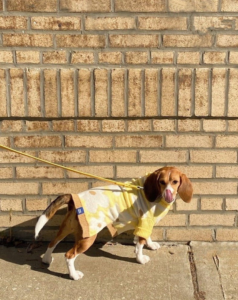 Sunny Side Dog Sweater (FINAL SALE) - Image 5