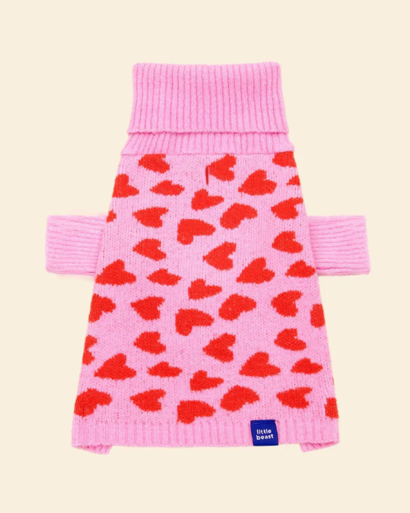 "The Love" Dog Sweater (FINAL SALE)