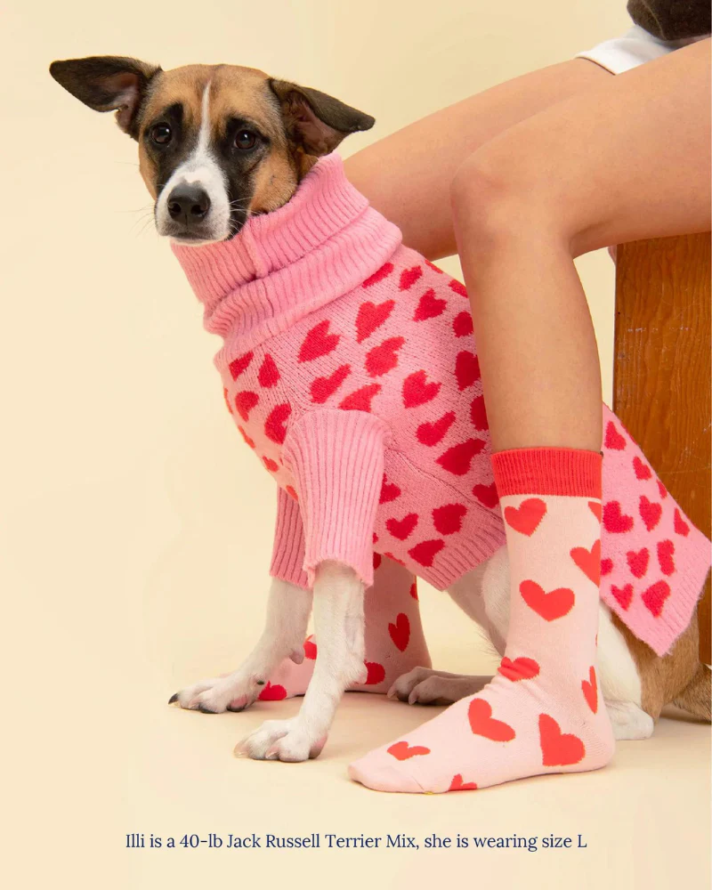 "The Love" Dog Sweater (FINAL SALE) - Image 2