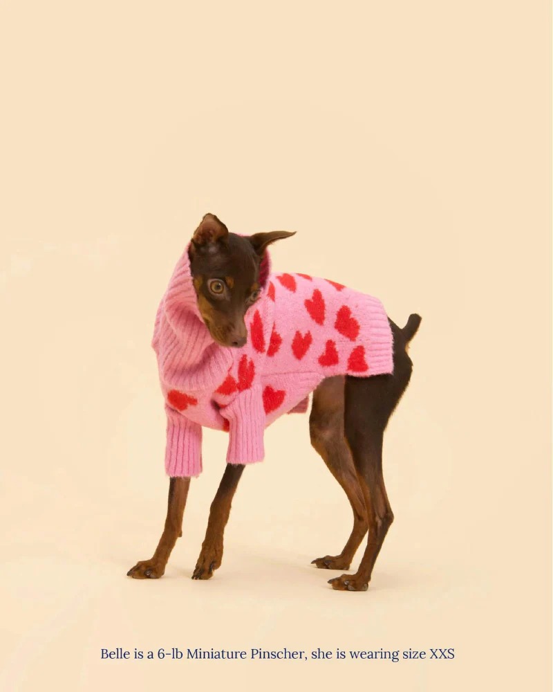 "The Love" Dog Sweater (FINAL SALE) - Image 3