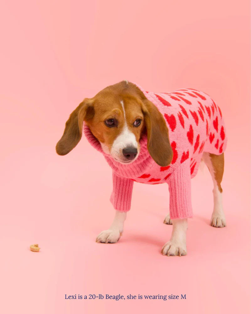 "The Love" Dog Sweater (FINAL SALE) - Image 5