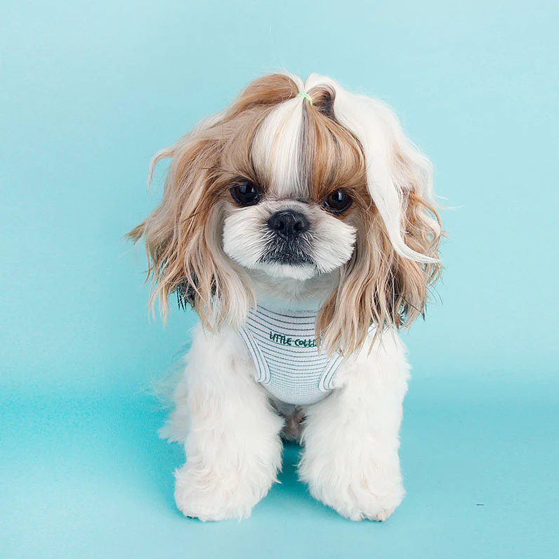 LITTLE COLLIN | Easy Tank in Green & White Stripe - Image 3