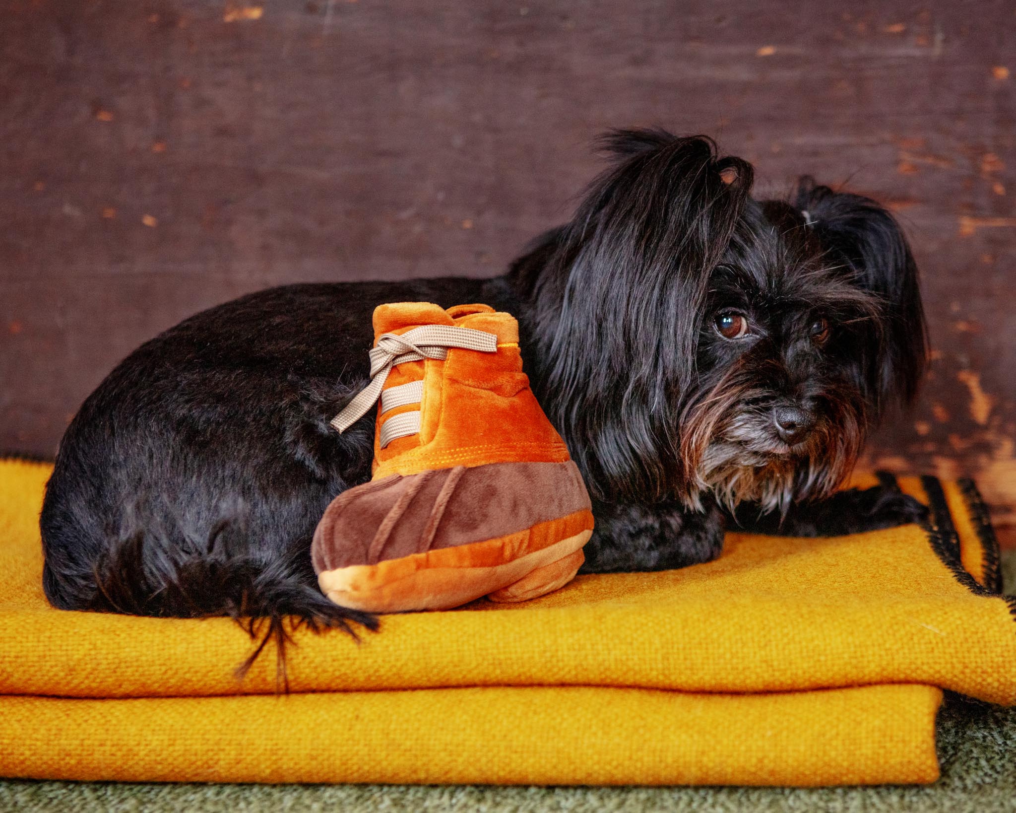 LL Bark Boot Toy - Image 4