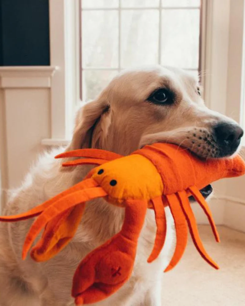 Lobster Interactive & Snuffle Dog Toy - Image 2