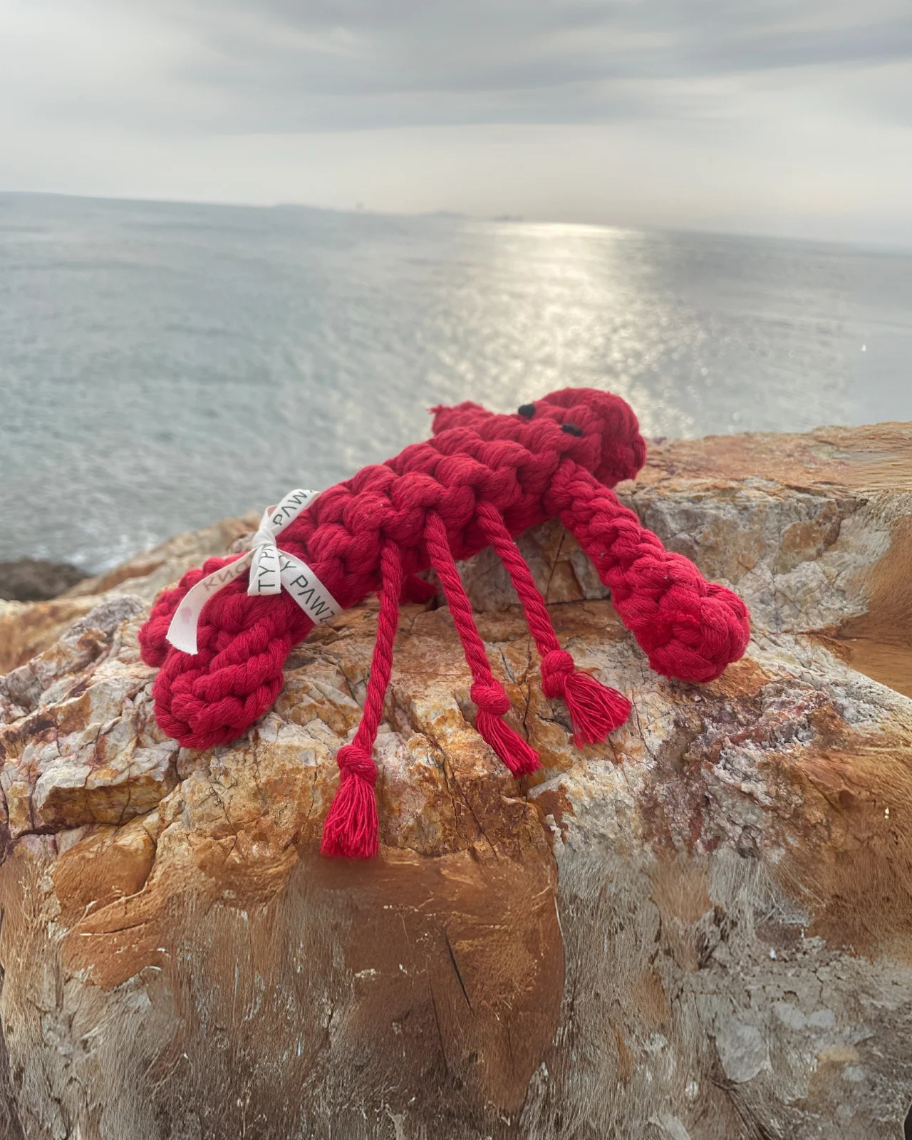 Lobster Sustainable Handmade Nautical Dog Rope Toy - Image 2