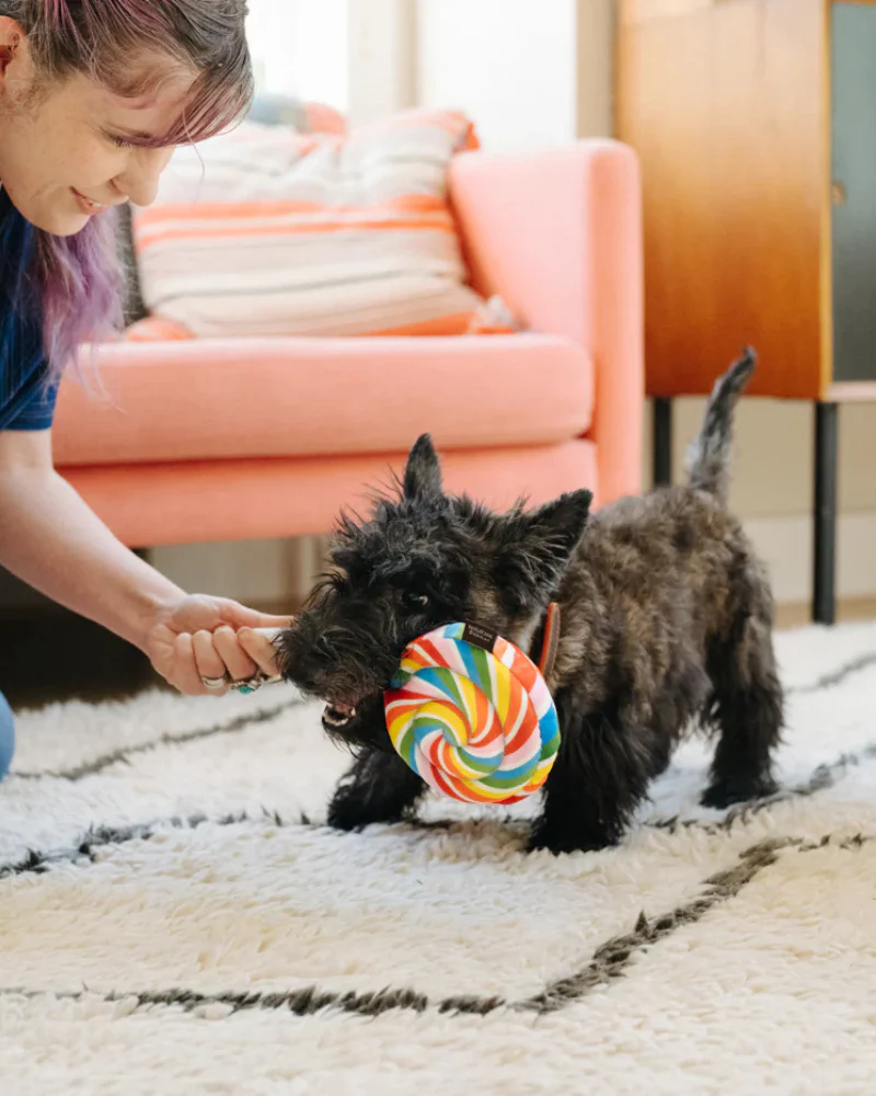Lollipup Squeaker Dog Toy - Image 2