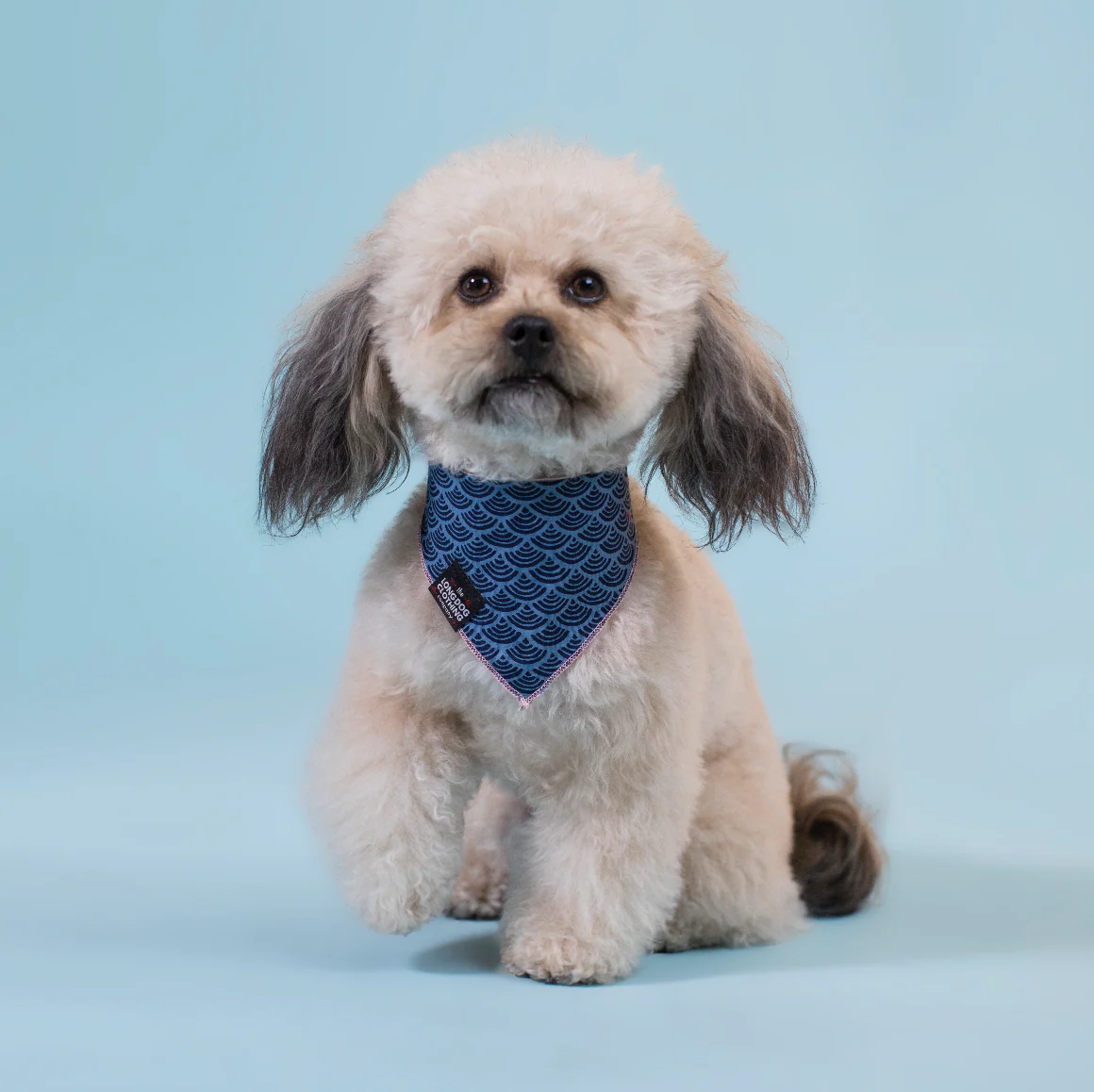 LONG DOG CLOTHING | Sushi Bandana - Image 2