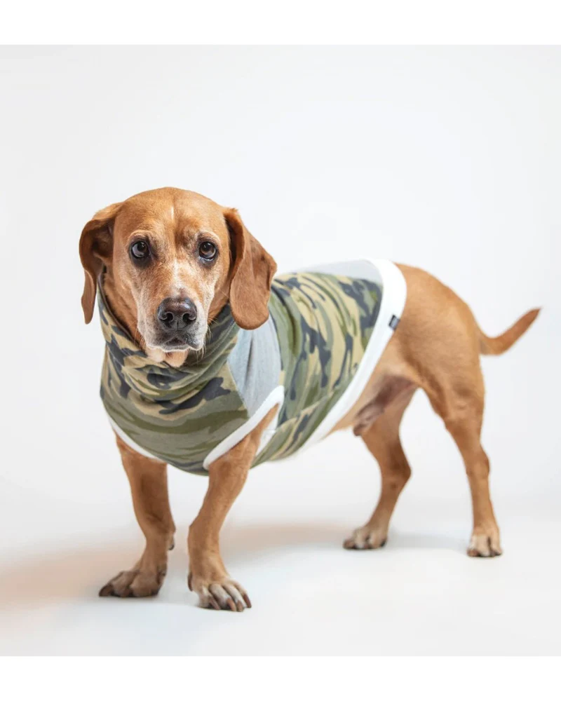 The Cadet Cotton Camo Hoodie for Long Dogs (Made in the USA) << FINAL SALE >> - Image 3