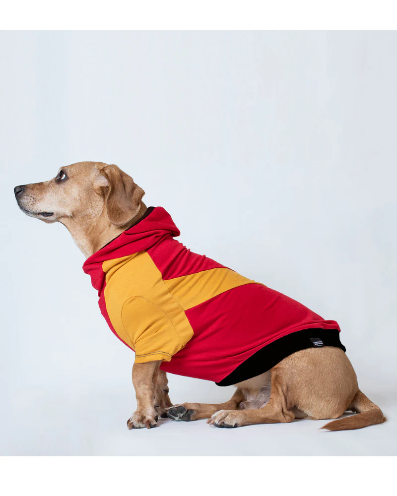 The Essey Pullover Hoodie for Long Dogs (Made in the USA) << FINAL SALE >> - Image 3