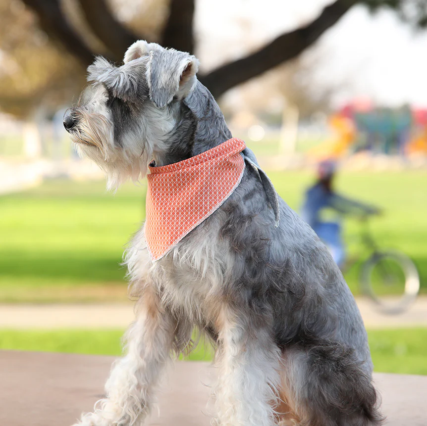 LONG DOG CLOTHING | The Fletcher Bandana - Image 2