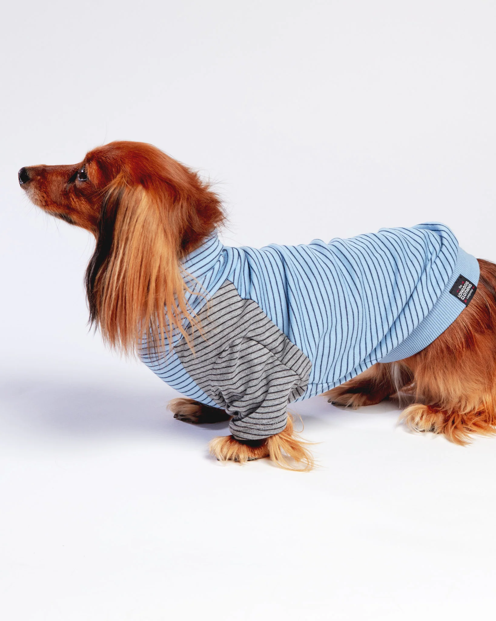 The Marlin Organic Cotton T-Shirt for Long Dogs (Made in the USA) << FINAL SALE >> - Image 2
