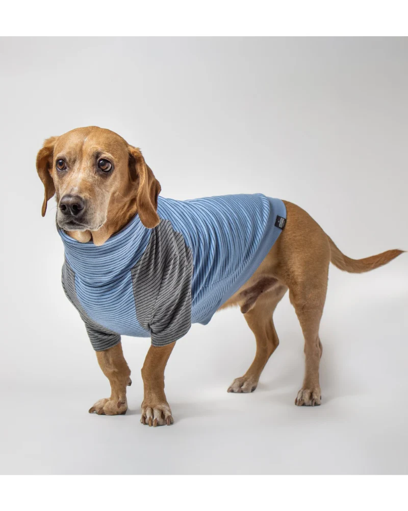 The Marlin Organic Cotton T-Shirt for Long Dogs (Made in the USA) << FINAL SALE >> - Image 5