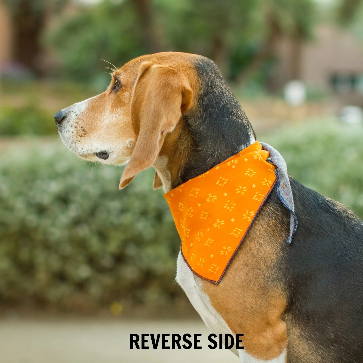 LONG DOG CLOTHING | The Mayan Bandana - Image 2