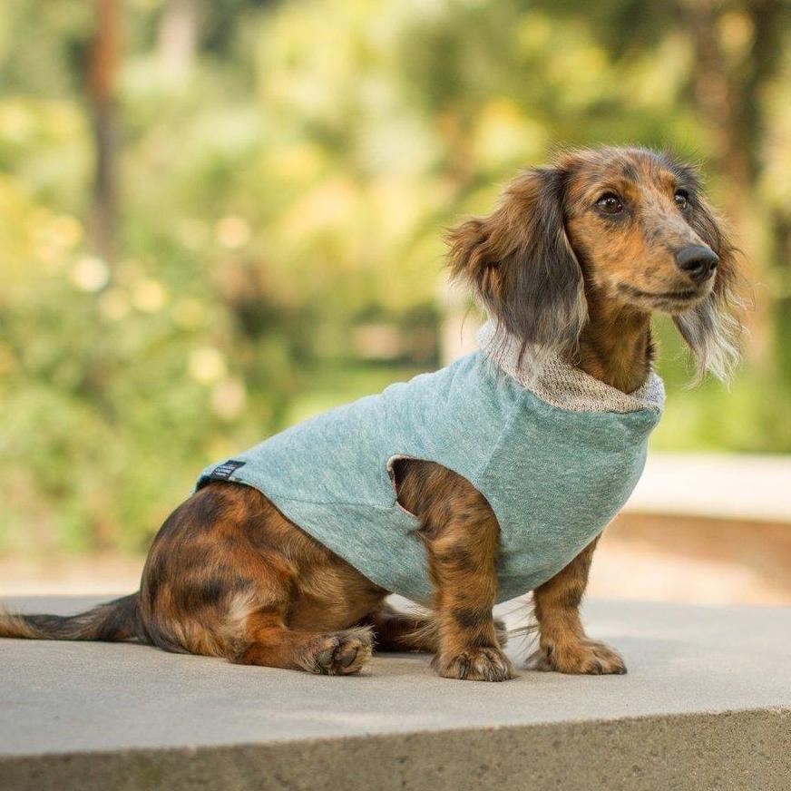 LONG DOG CLOTHING | The Savannah Hoodie - Image 2