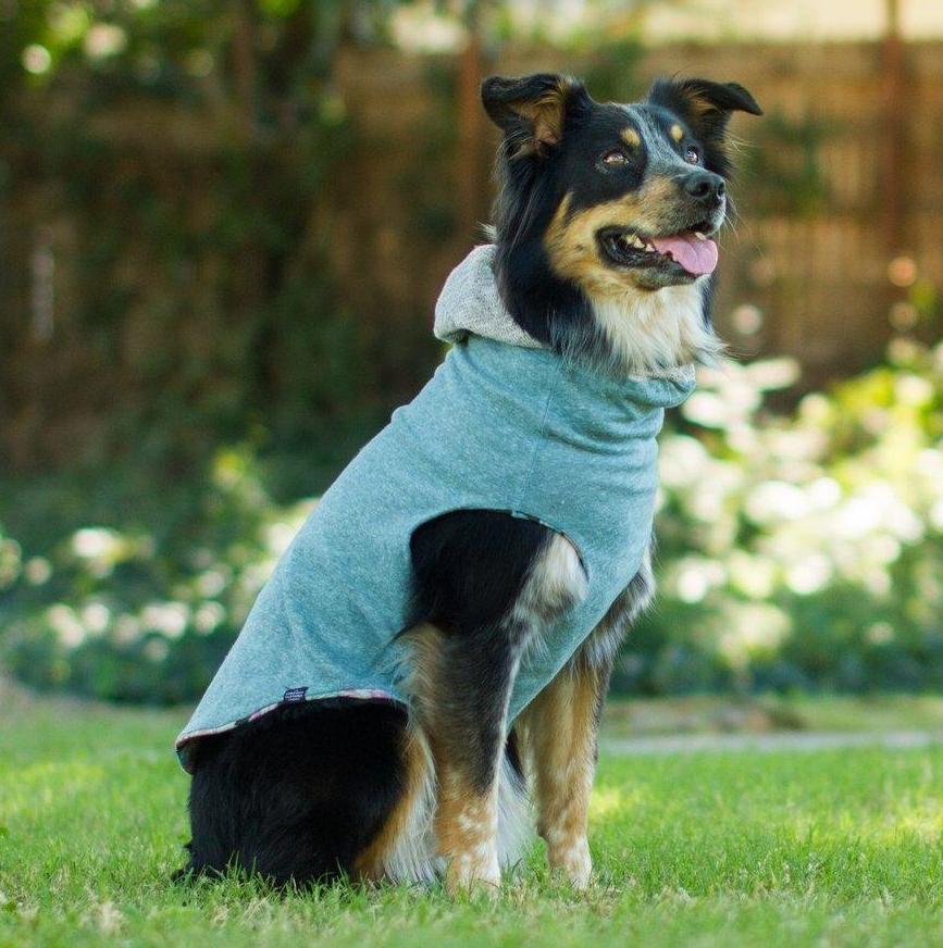 LONG DOG CLOTHING | The Savannah Hoodie - Image 4