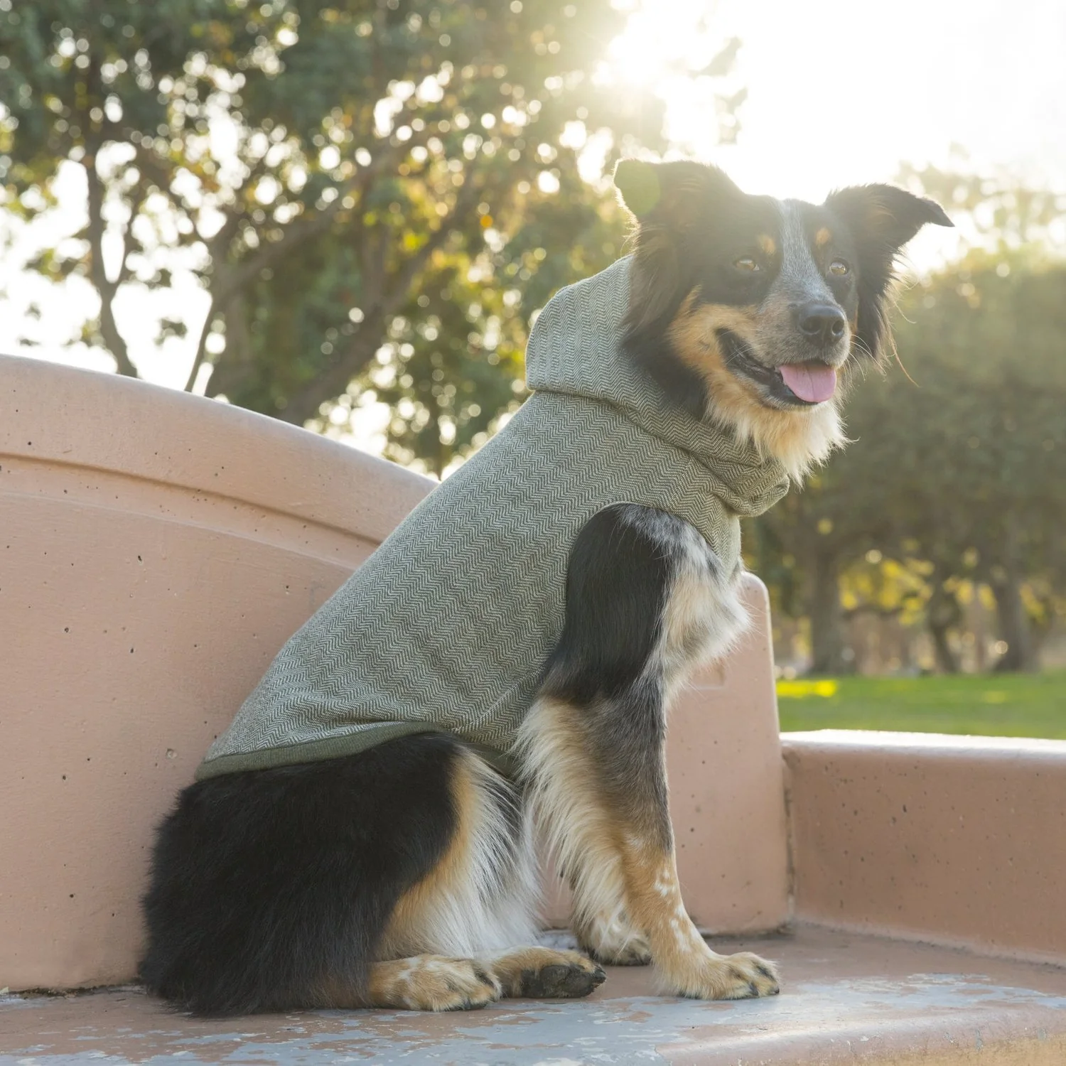 LONG DOG CLOTHING | The Yosemite - Image 3