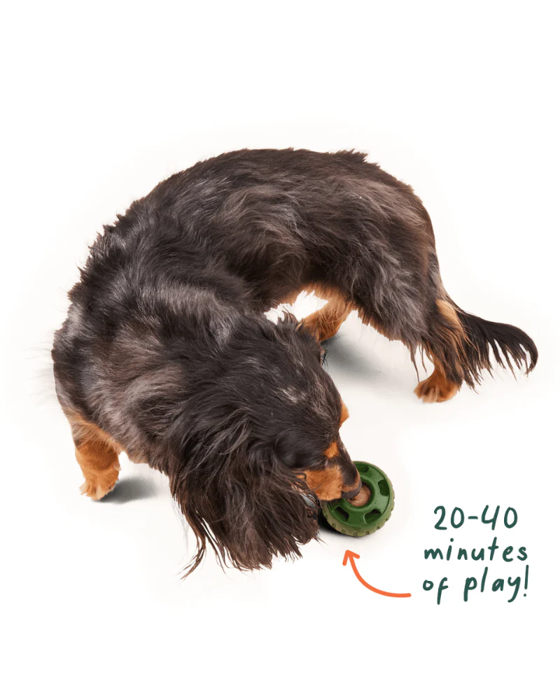 Long Lasting Pupsicle Refill Pops (Made in the USA) - Image 4