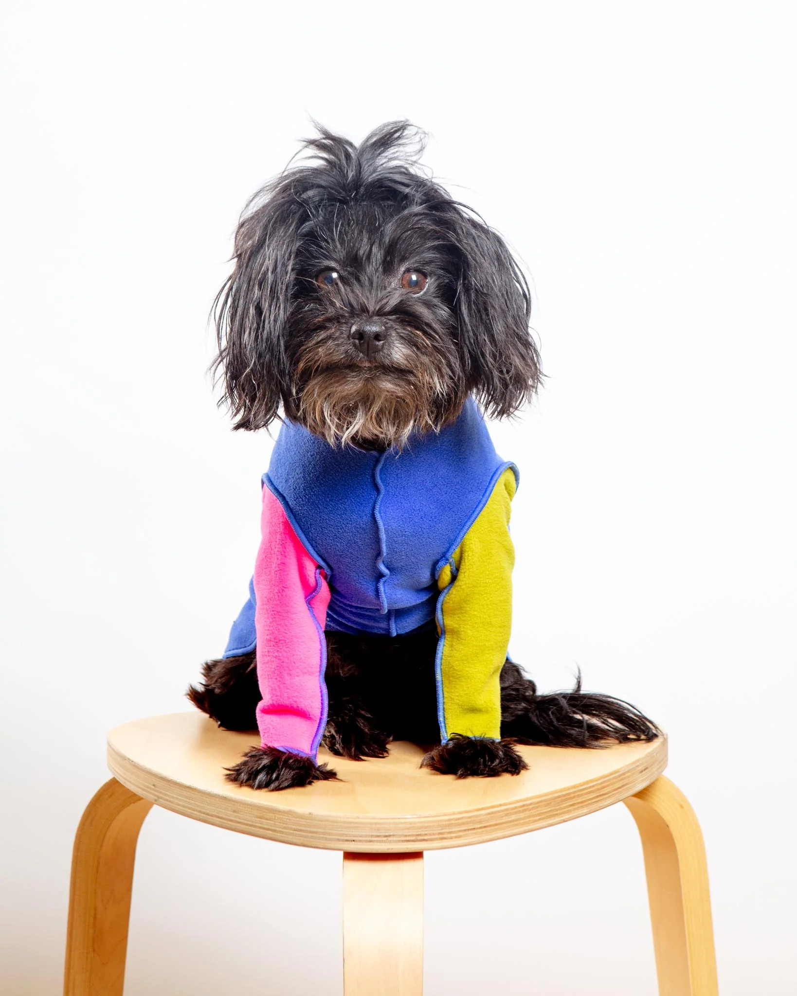 Long-Sleeve Stretch Fleece in Crazy for the 80s (Made in the USA) (DOG & CO. + GOLD PAW Exclusive!)