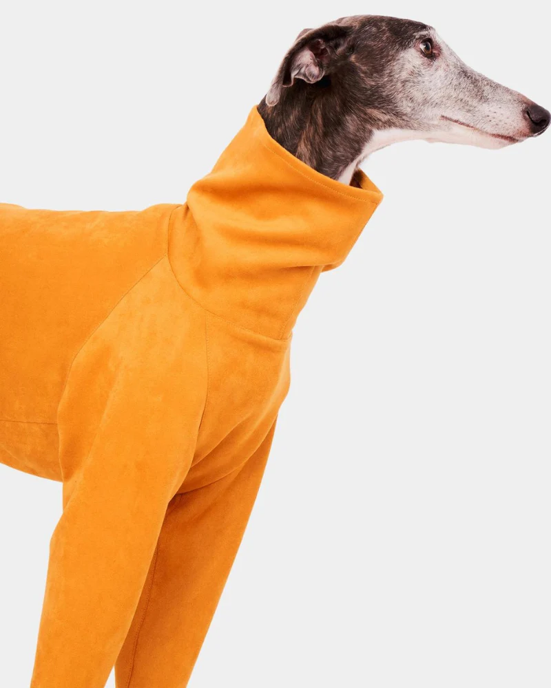 Long Sleeve Dog Turtleneck in Yellow (FINAL SALE) - Image 2