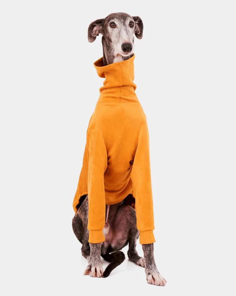 Long Sleeve Dog Turtleneck in Yellow (FINAL SALE) - Image 4