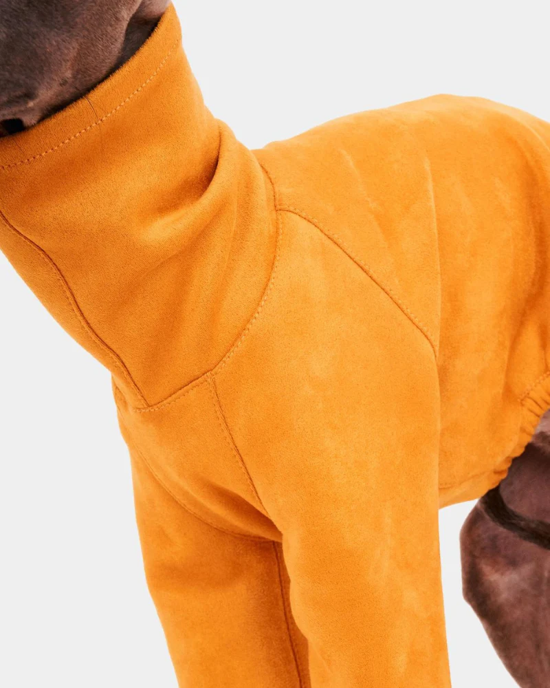 Long Sleeve Dog Turtleneck in Yellow (FINAL SALE) - Image 5