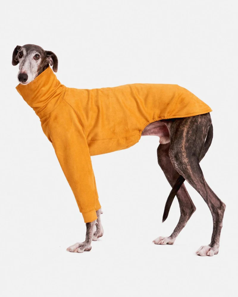 Long Sleeve Dog Turtleneck in Yellow (FINAL SALE) - Image 6
