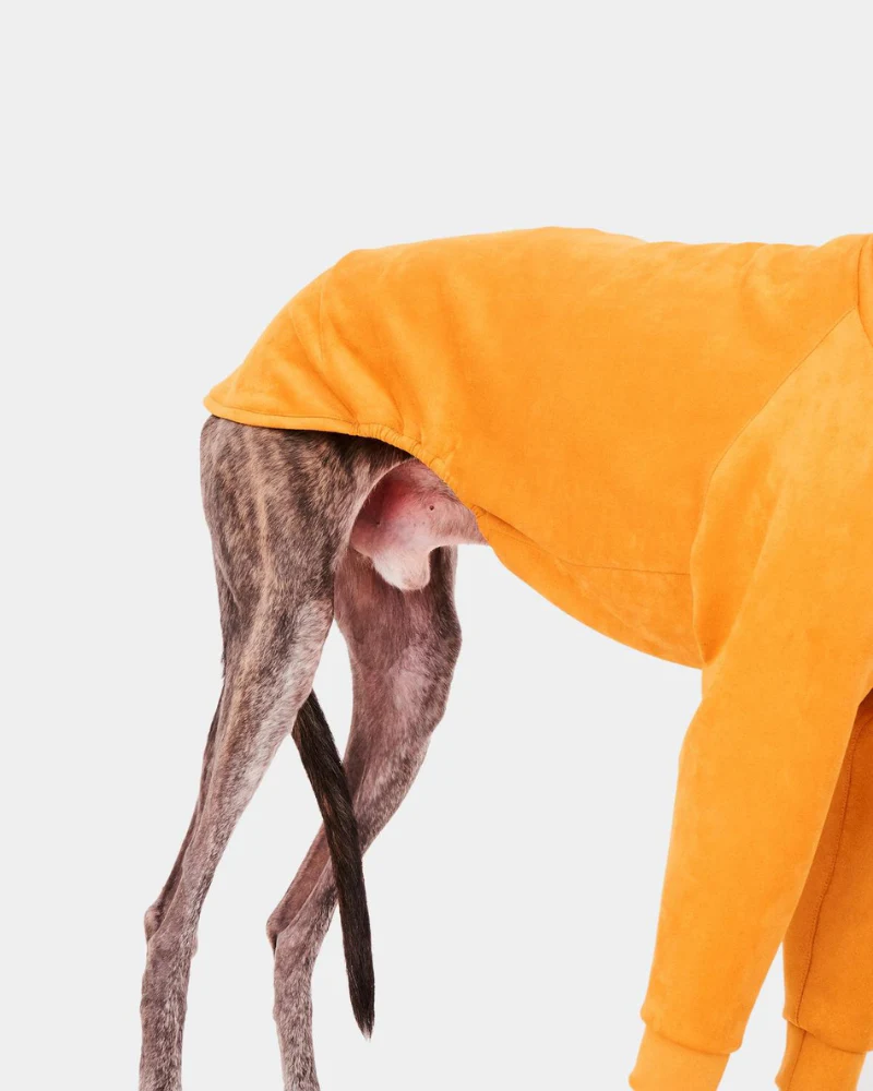 Long Sleeve Dog Turtleneck in Yellow (FINAL SALE) - Image 7
