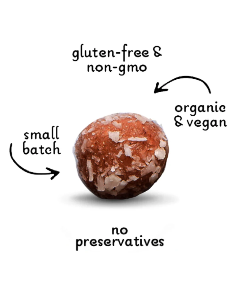 Gingerbread Organic Dog Treats (Made in the USA) - Image 2