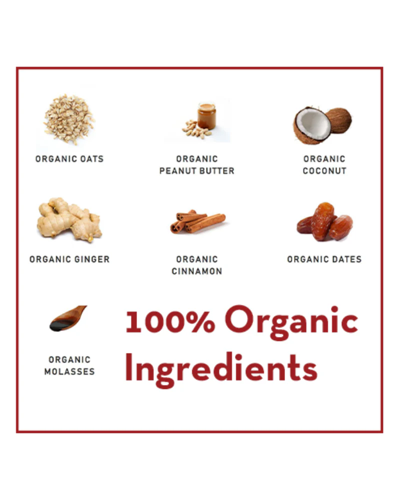 Gingerbread Organic Dog Treats (Made in the USA) - Image 5