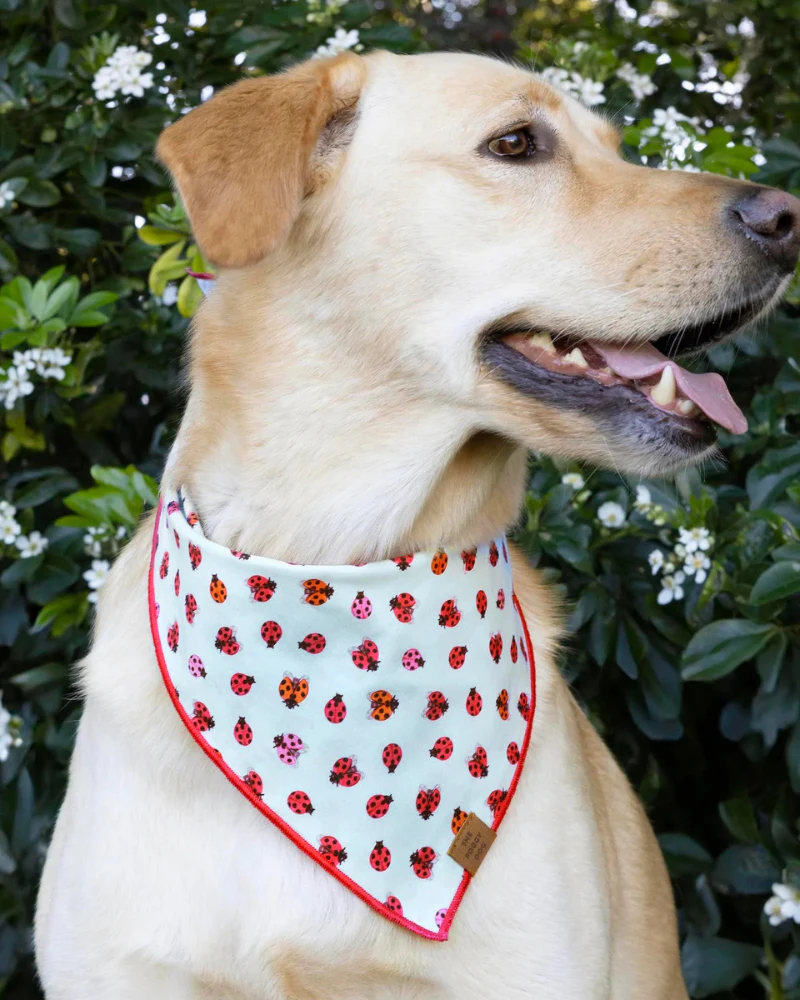 Love Bug Spring Dog Bandana (Made in the USA) (FINAL SALE) - Image 4
