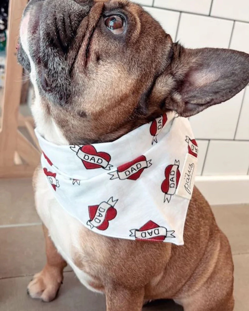 Love DAD Dog Bandana - Image 3