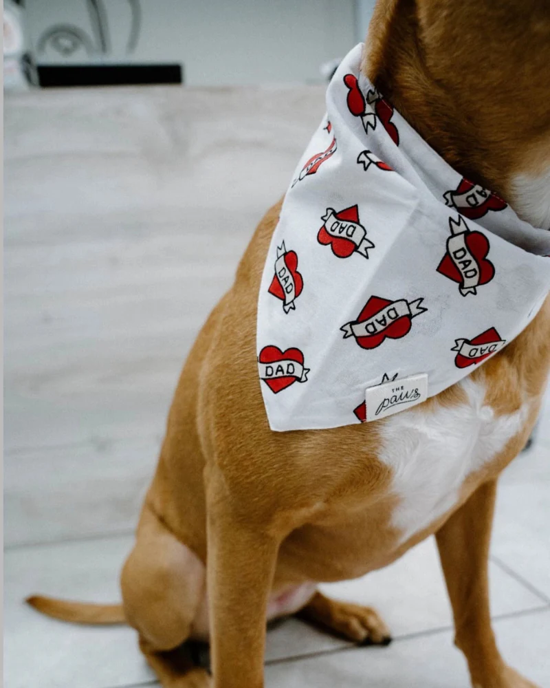 Love DAD Dog Bandana - Image 6