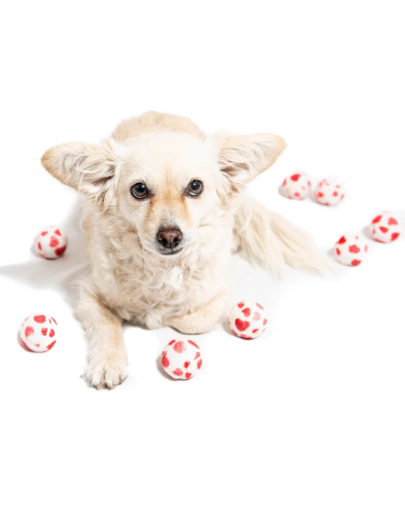 Love Hearts Tennis Ball Toys for Dogs - Image 3