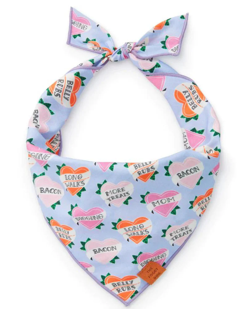 Love Language Dog Bandana (FINAL SALE) - Image 3